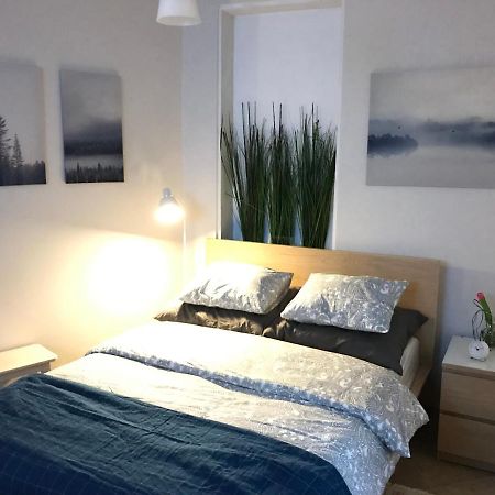 זיילונה גאורה Apartament Starowka מראה חיצוני תמונה
