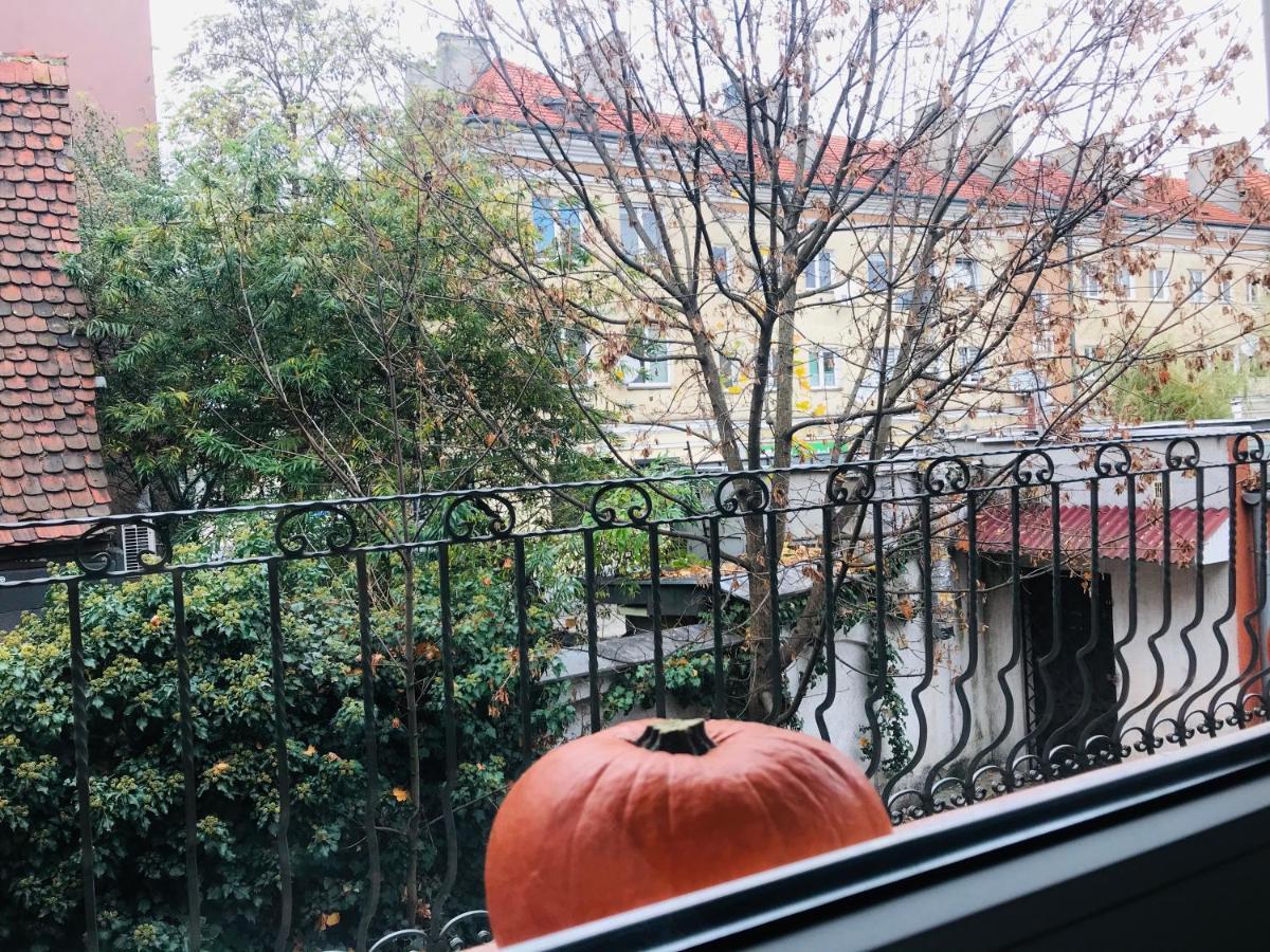 זיילונה גאורה Apartament Starowka מראה חיצוני תמונה